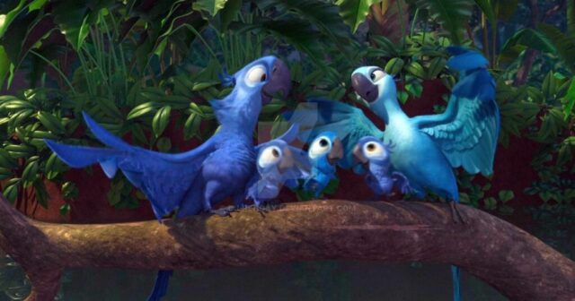 Photo By Cocodillaa.com