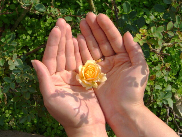 Photo by Cocodillaa.com Happy Ramadhan, Eid Mubarak - عيد فطر مبارك