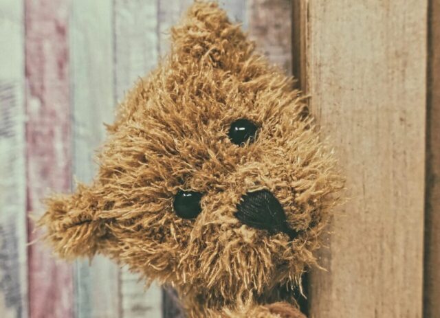 Photo by Cocodillaa.com teddy, teddy bear, stuffed animal, little bear, cuddly toys, toy, bear, cozy, cute, to play, plush bear, plush, cuddle, child, fun