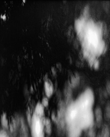 grayscale photo of smoke in the sky