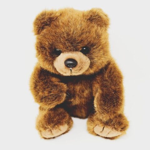 Photo by Cocodillaa.com teddy, stuffed animal, fun, toy, teddy bear, cuddly toy, children, cute, bear, plush, little bear, child, plush bear, children's toys, teddy bear, teddy bear, teddy bear, teddy bear, teddy bear, bear, bear