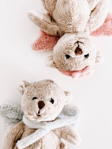 Photo by Cocodillaa.com two brown bear plush toys on white surface