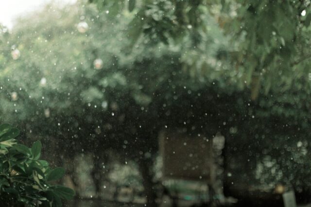 Photo by Cocodillaa.com a blurry picture of a tree and a bench in the rain