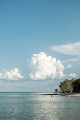 Photo by Cocodillaa.com green trees near body of water under blue sky during daytime