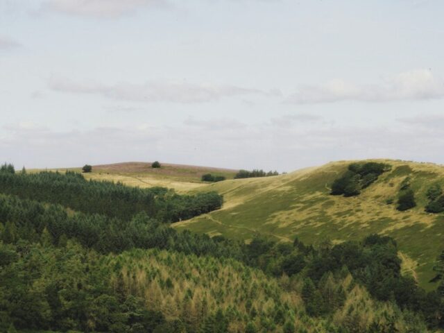 Photo by Cocodillaa.com green grass field under white sky during daytime