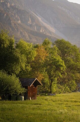 hut, meadow, nature, field, forest, trees, landscape, tyrol