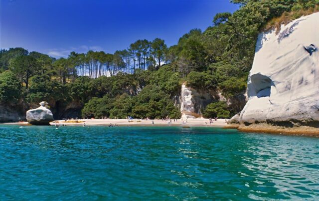 A body of water surrounded by trees and rocks