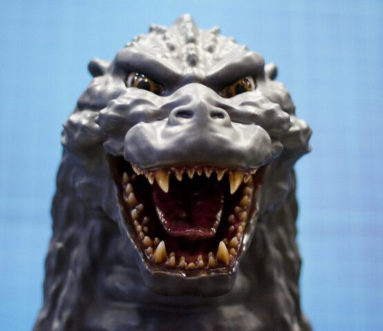 Photo by cocodillaa.com Godzilla The King Of Monsters