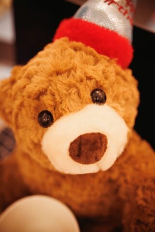 Photo by Photo by Cocodillaa.comZHU A teddy bear wears a birthday hat.