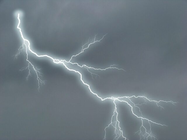 Photo by Cocodillaa.com water droplets on bare tree during daytime