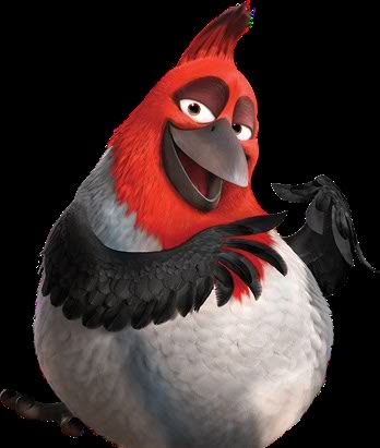 Photo By Cocodillaa.com