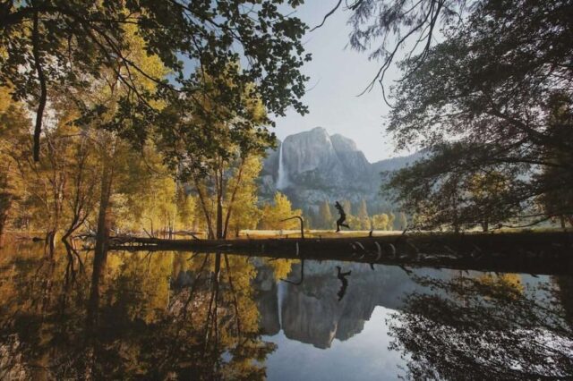 landscape photography of trees and lake