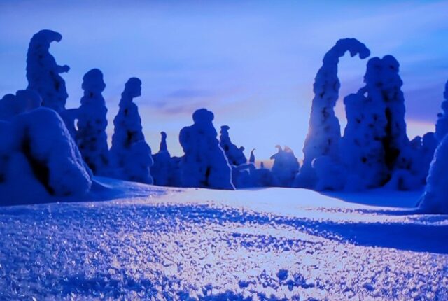 Photo by cocodillaa.com Godzilla!