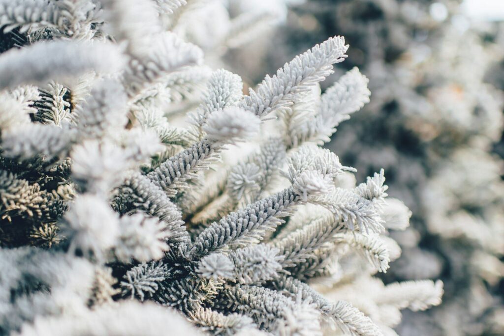 Winter Wallpapers HD & 4K – Snow, Cold & Aesthetic Backgrounds Free Download