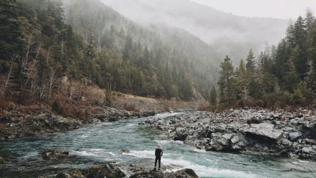 Photo by Cocodillaa.com person standing on rock beside body of water between green trees