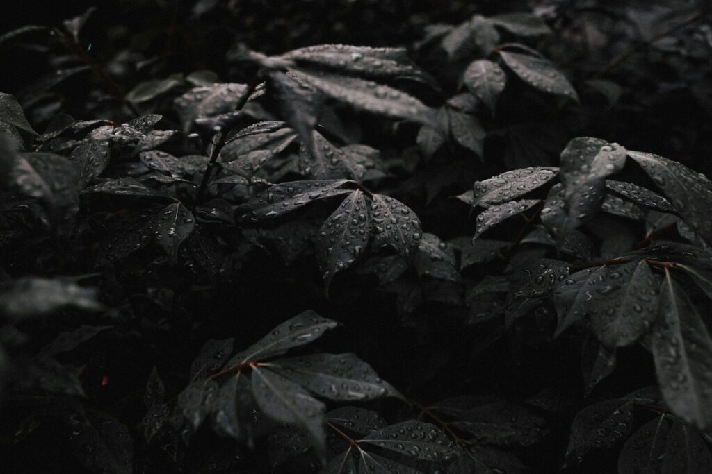 Black Wallpapers HD & 4K – Dark Aesthetic Backgrounds Free Download