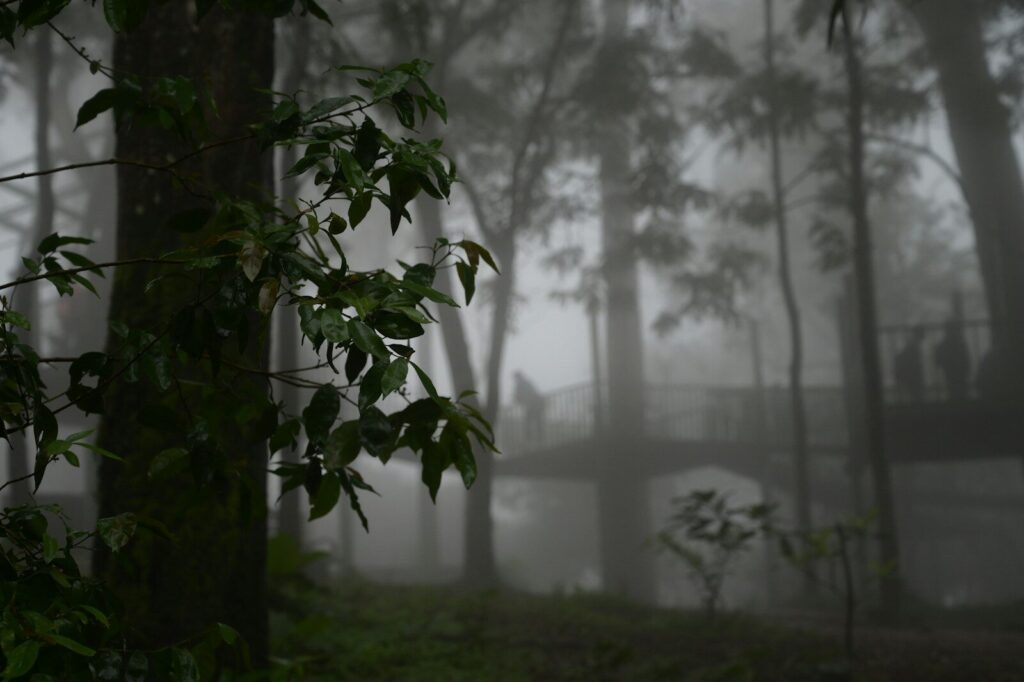 Rain Wallpapers HD & 4K โ Aesthetic Rainy Day Backgrounds Free Download
