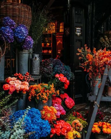 Photo by Cocodillaa.com red and purple flowers on gray steel pot