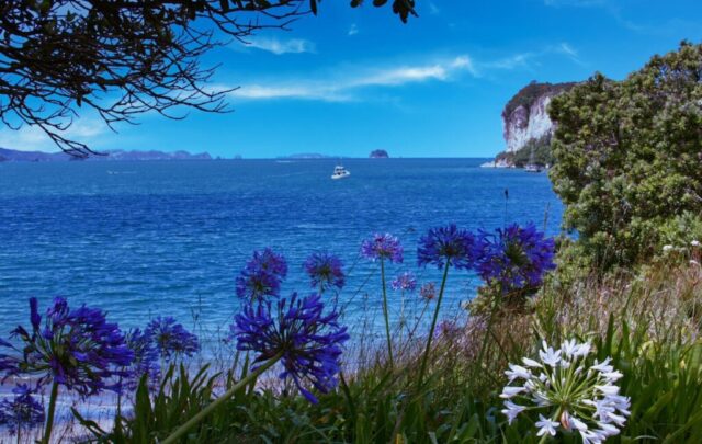 A scenic view of a body of water with a boat in the distance