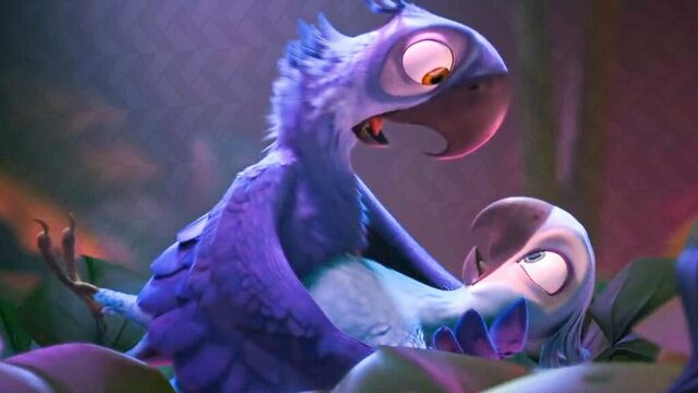 Photo By Cocodillaa.com