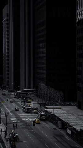 cars parked on the side of the road in the city