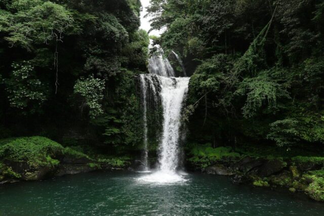 green waterfall