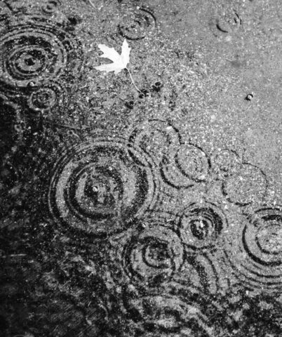 Photo by Cocodillaa.com black and white abstract painting