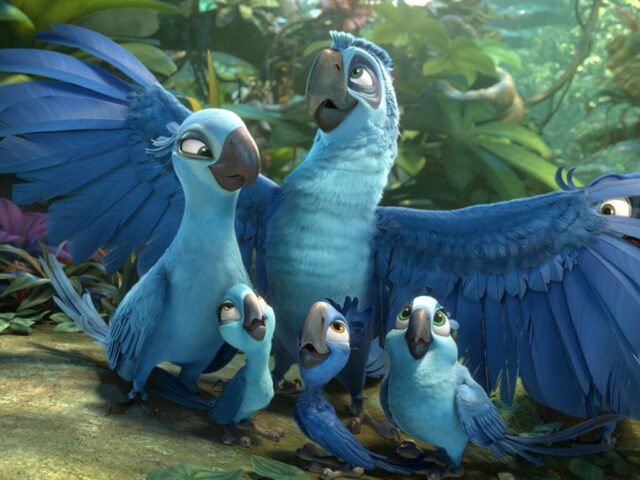 Photo By Cocodillaa.com