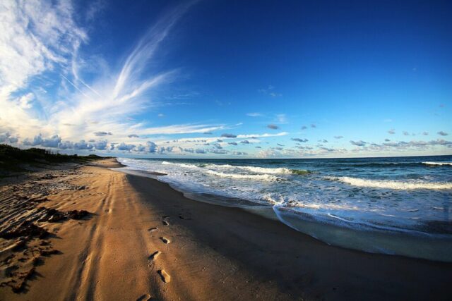 a sandy beach next to the ocean under a blue sky