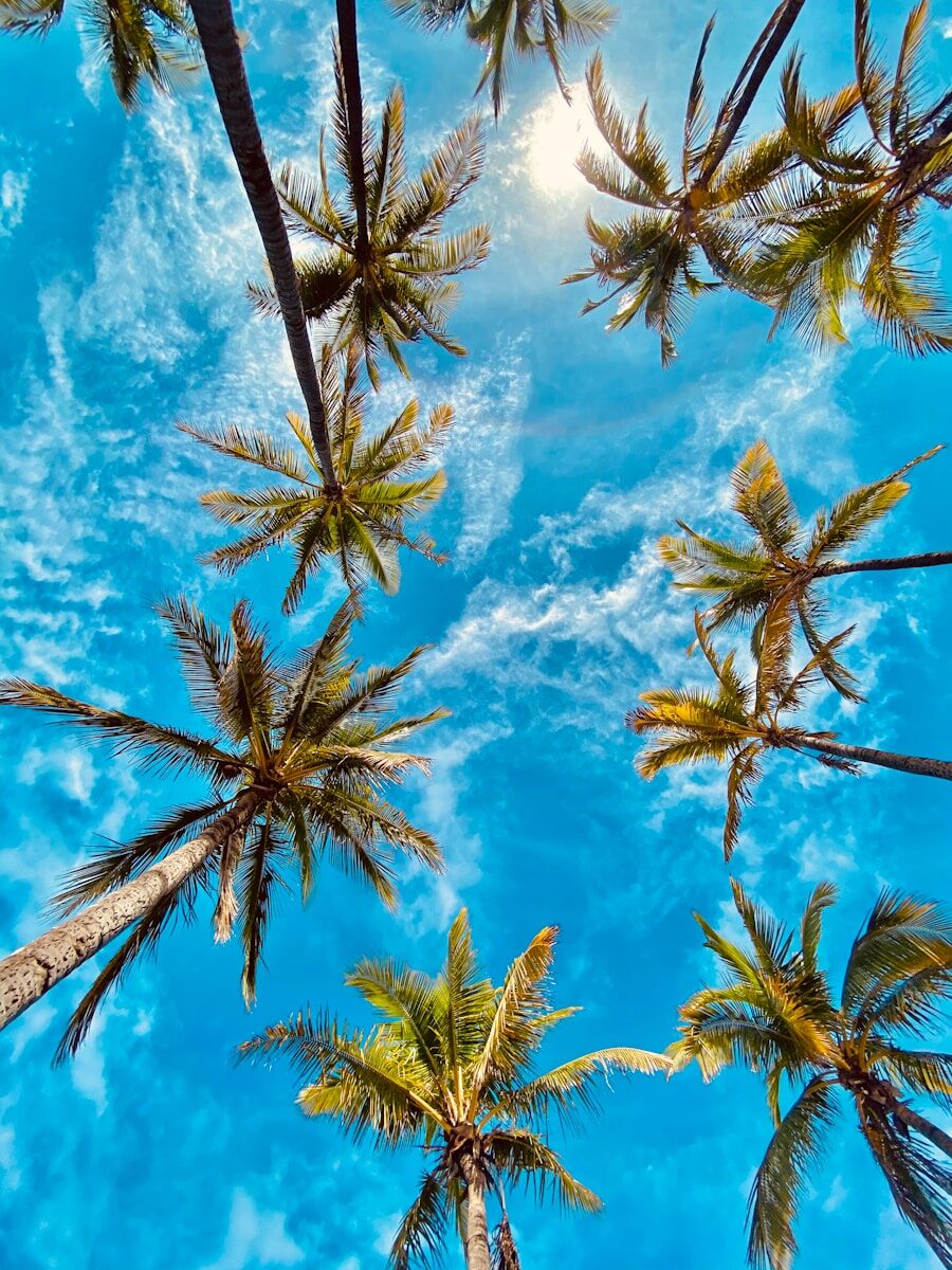 Summer Wallpapers HD & 4K – Beach, Sunshine & Tropical Backgrounds