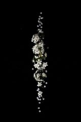 Photo by Evie S. shallow focus photography of white flower lot
