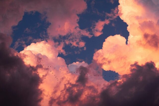 Photo by Cocodillaa.com white and blue nimbus cloud