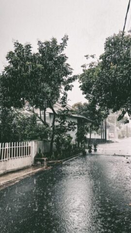 Photo by Cocodillaa.com a flooded street with a white fence and trees