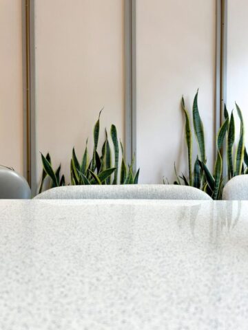 A table and chairs with a plant in the background
