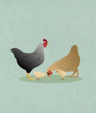 background, design, texture, easter, colorful, easter egg, easter party, nature, farm animal, animal, farm, cute, chickens, birds, spring, season