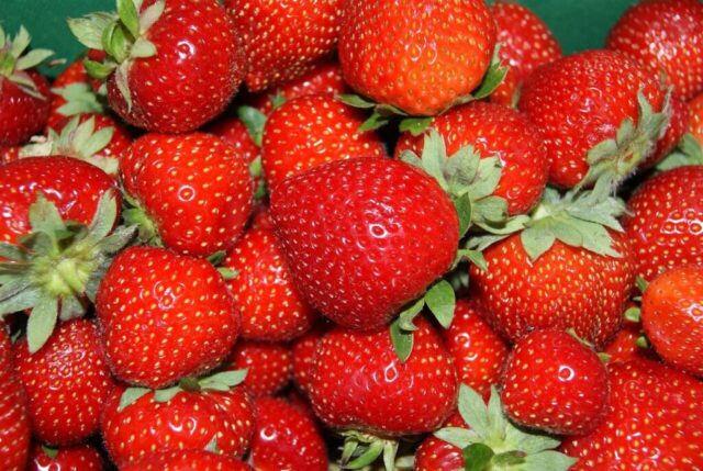 strawberries, strawberry, fresh, british, red strawberry
