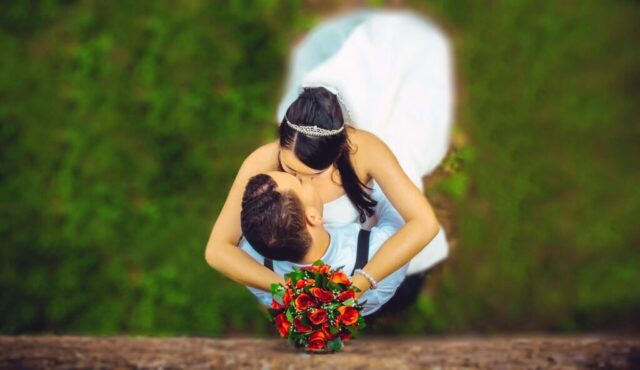wedding, couple, kissing, embrace, hugging, together, happiness, happy, love, lovers, woman, man, green love, green happy, green wedding, green kiss, green happiness, green hug, green together, wedding, wedding, wedding, wedding, wedding, kissing, love