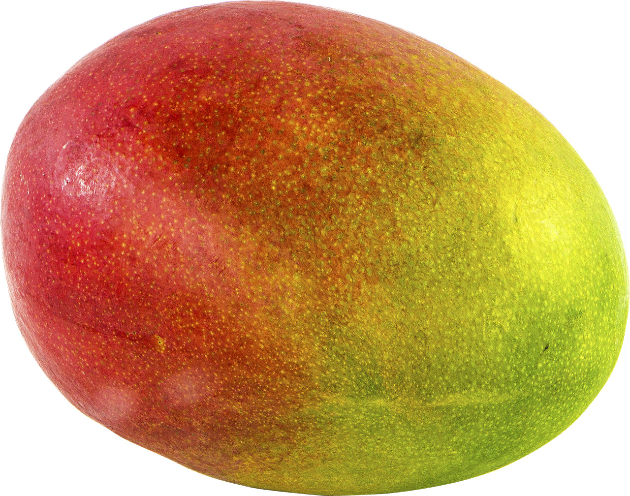 mango, fruit, png, transparent, cut out, exotic fruits, anacardiaceae, mango, mango, mango, mango, mango