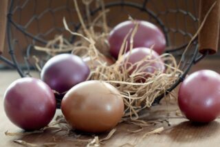 easter eggs, basket, color, colored, egg, easter, custom, nature, spring, colorful, painting, customs, eastercollection, brown spring, brown painting, brown egg, brown eggs, brown paint, brown color