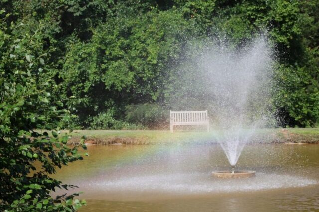 Photo by Cocodillaa.com rainbow, fountain, water, garden, spray, nature, green rainbow