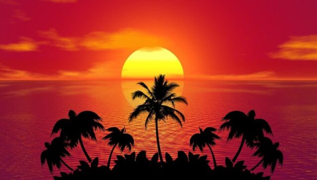 sunset, palm trees, silhouettes, tropical island, tree silhouettes, sun, dusk, twilight, sea, ocean, nature, horizon, seascape, setting sun, tropical, beach, island