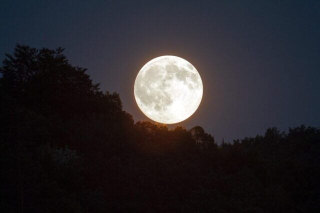 Photo by Cocodillaa.com full moon, evening sky, moonlight, moon, mood, night sky, evening atmosphere, super moon, full moon, full moon, full moon, full moon, full moon, moon, moon, moon