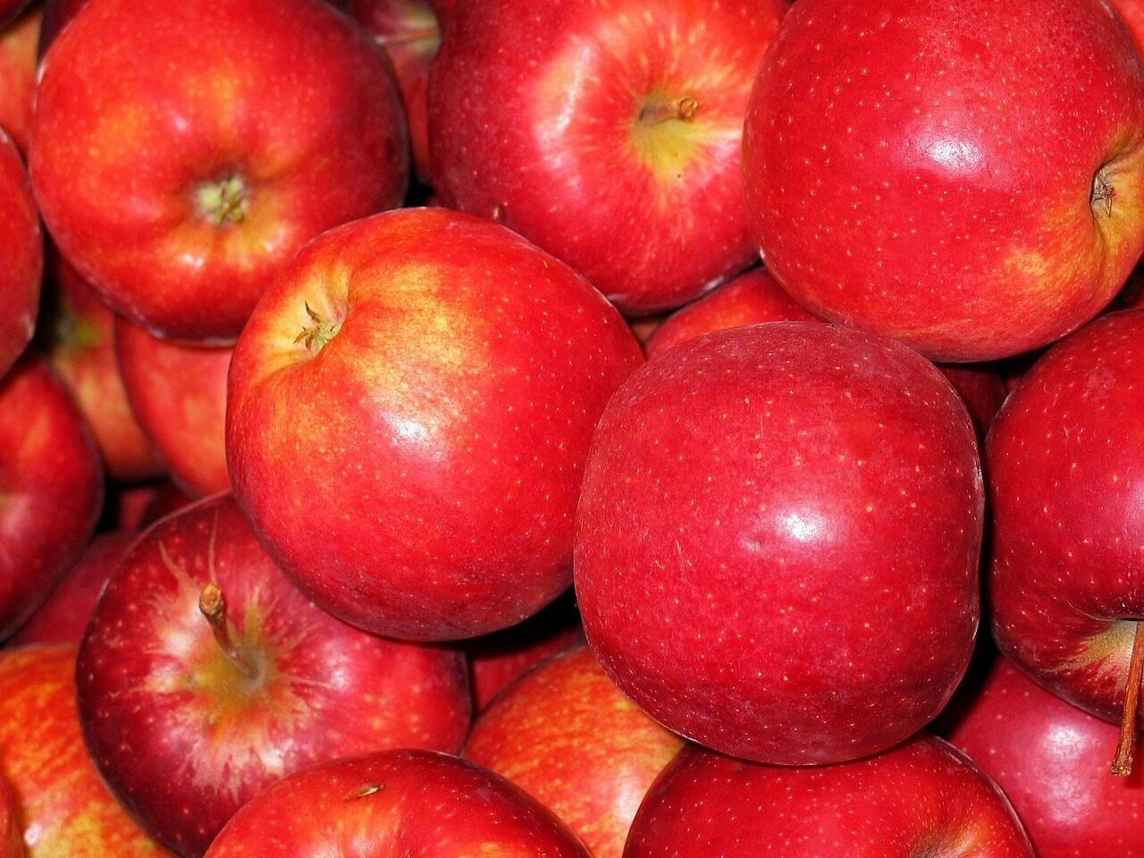 chalkboard apple, apple, royal gala, bearing apple, baked apple, sale, healthy, vitamins, nourishment, meal, health, cook, angry, pulp, kitchen, apple tree, bio apple, bio, royal gala, royal gala, royal gala, royal gala, royal gala