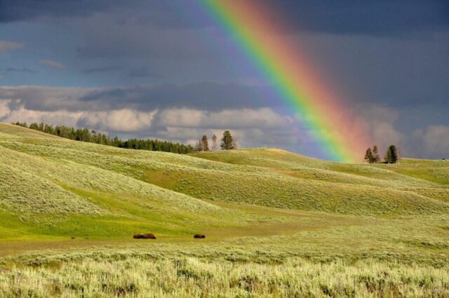 Photo by Cocodillaa.com rainbow, hills, meadows, fields, grass, grasslands, grassy, horizon, landscape, rural, countryside, nature, clouds, colorful, outdoors, sky, rainbow colors, rainbow, rainbow, rainbow, rainbow, rainbow