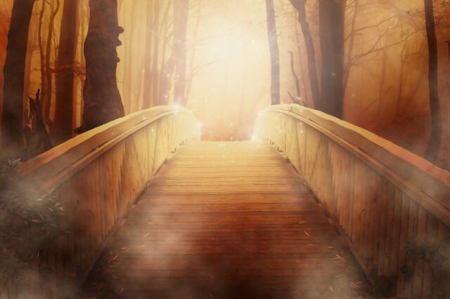 bridge, forest, fantasy, nature, trees, light, fog, mist, mystical, dramatic, woods, path, pathway, walkway, mystical forest, magical forest, wooden bridge, dawn, dusk, sunset, sunrise, scenic, digital painting bridge, forest, fantasy, nature, trees, light, fog, mist, mystical, dramatic, woods, path, pathway, walkway, mystical forest, magical forest, wooden bridge, dawn, dusk, sunset, sunrise, scenic, digital painting
