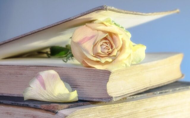 rose, book, old book, blossom, used, old, book pages, nostalgic, open book, bookmark, rose bloom, rose flower, petals, rose petals, close up, rose wallpaper