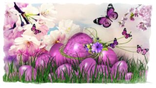 easter, easter greeting, easter egg, happy easter, nature, spring, easter festival, easter theme, purple, pink