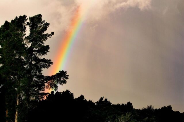 Photo by Cocodillaa.com rainbow, nature, tree, contrast, light, clouds, brown rainbow