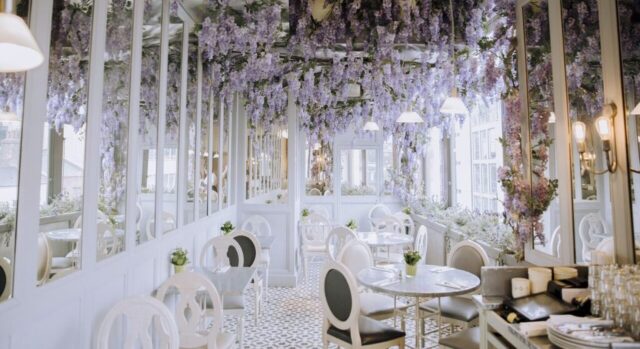 interior, design, chairs, table, aesthetic, restaurant, fancy, aesthetic, aesthetic, aesthetic, aesthetic, aesthetic, restaurant, fancy, fancy, fancy, fancy