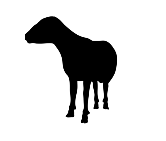 sheep, animal, standing, farm, lamb, nature, domestic, sacrifice, ritual slaughter, offering, oblation, immolation, mammal, white, cute, islamic, muslim, celebration, eid, cartoon, livestock, character, ramadan, happy, farmer, ewe, wild, design, agriculture, festival, wool, baby, card, natural, kurban, holiday, mubarak, greeting, poster, banner, occasion, message, al, hajj, adha, religion, holy, month, sheep, sheep, sheep, sheep, sheep, lamb, sacrifice, eid, wool
